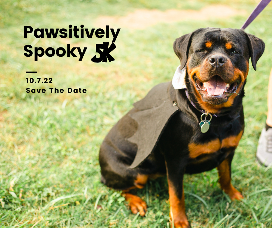 Pawsitively Spooky